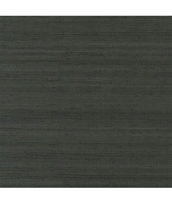 Chinon Gunmetal-Tapete pour bénéficier 