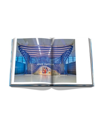 Buchen Sie Louis Vuitton Skin: Architecture of Luxury (Paris Edition) la livraison gratuite