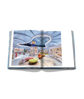 Buchen Sie Louis Vuitton Skin: Architecture of Luxury (Paris Edition) la livraison gratuite