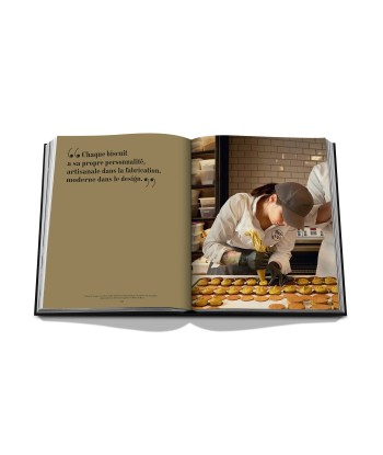 Buch Die Kunst der Herstellung: Alain Ducasse en stock