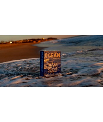 Ocean Wanderlust Book (wasserdichte Ausgabe) Comparez et commandez 