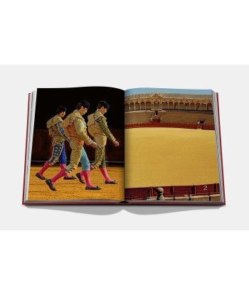 Sevilla Arte-Buch français