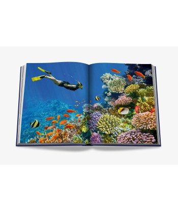 Ocean Wanderlust Book (wasserdichte Ausgabe) Comparez et commandez 