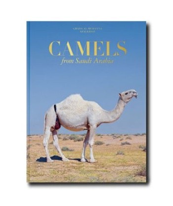 Buchen Sie Camels Froms Saudi Arabia (Classic) en stock