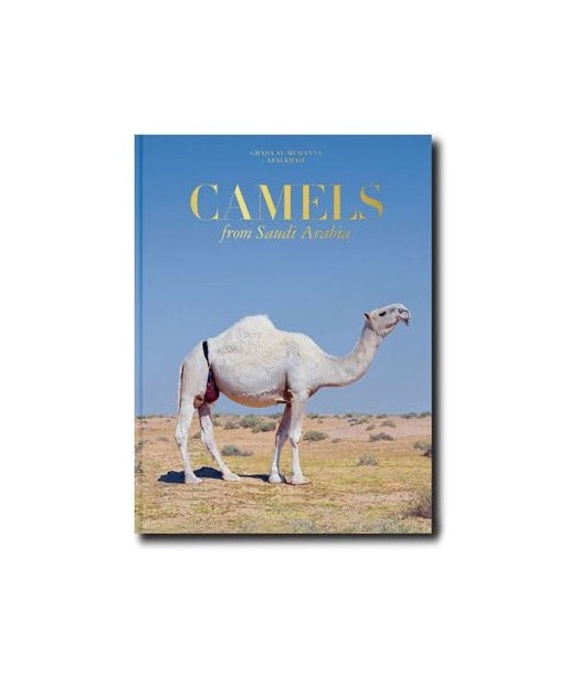 Buchen Sie Camels Froms Saudi Arabia (Classic) en stock