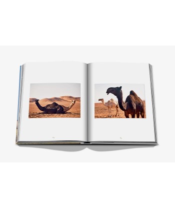 Buchen Sie Camels Froms Saudi Arabia (Classic) en stock