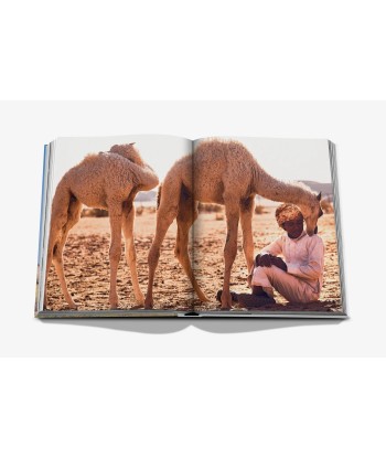 Buchen Sie Camels Froms Saudi Arabia (Classic) en stock