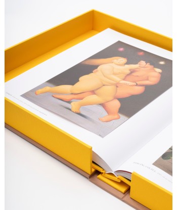 Buchen Sie Fernando Botero: Impossible Collection destockage