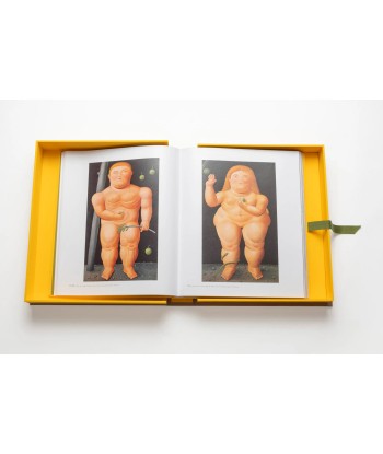 Buchen Sie Fernando Botero: Impossible Collection destockage